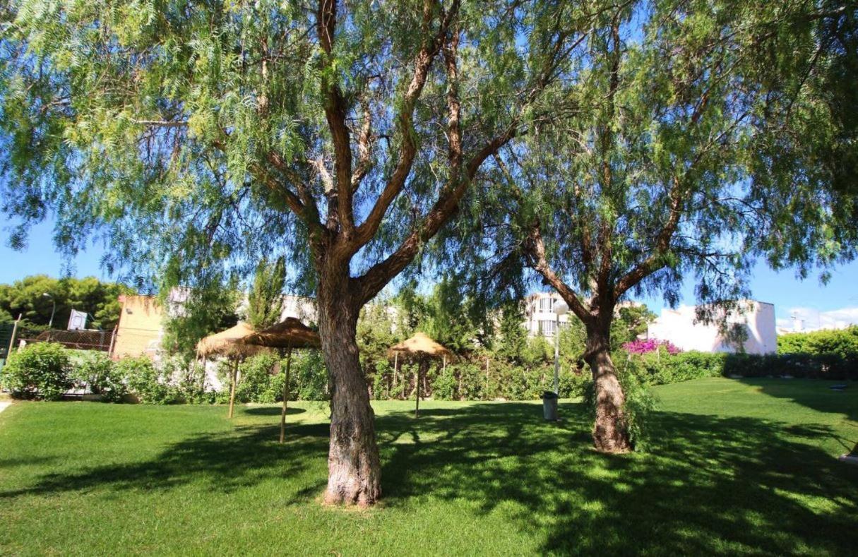 Sweetwater Home - Apartamento Ideal Para Tus Vacaciones El Campillo del Moro Eksteriør bilde